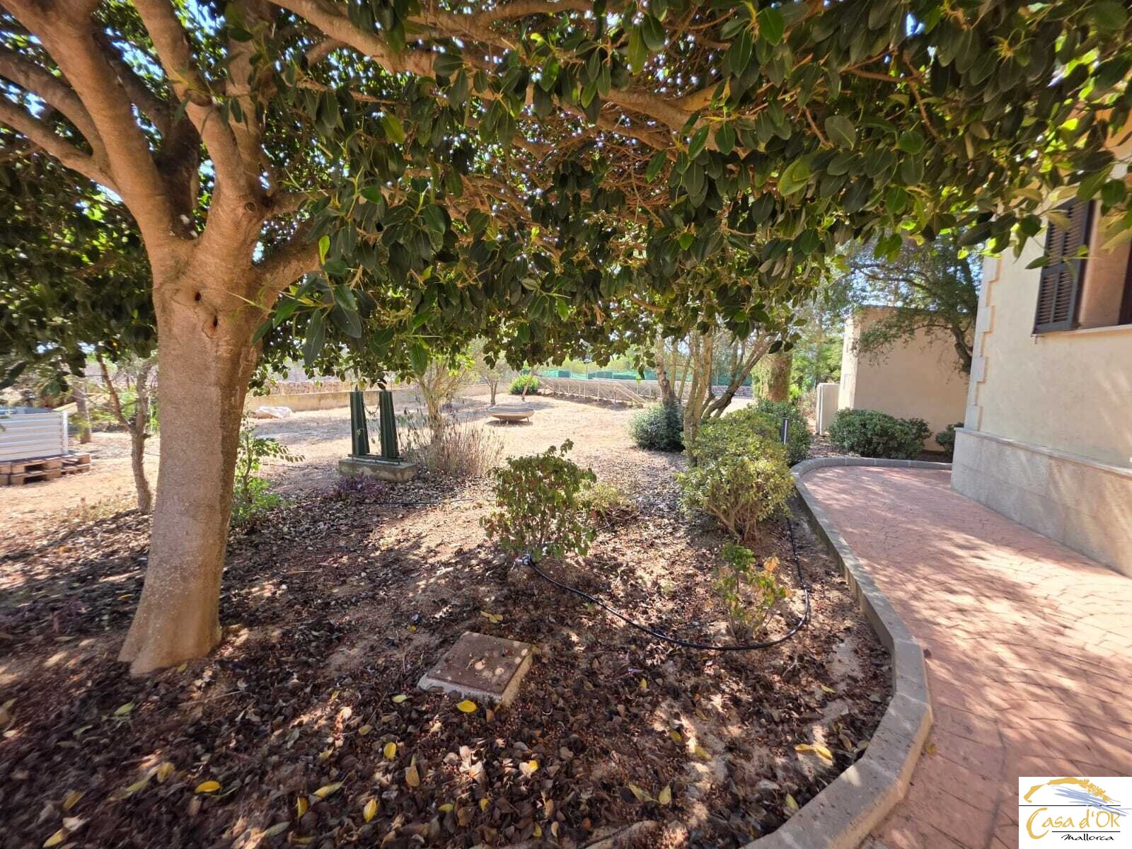 Garten Garten