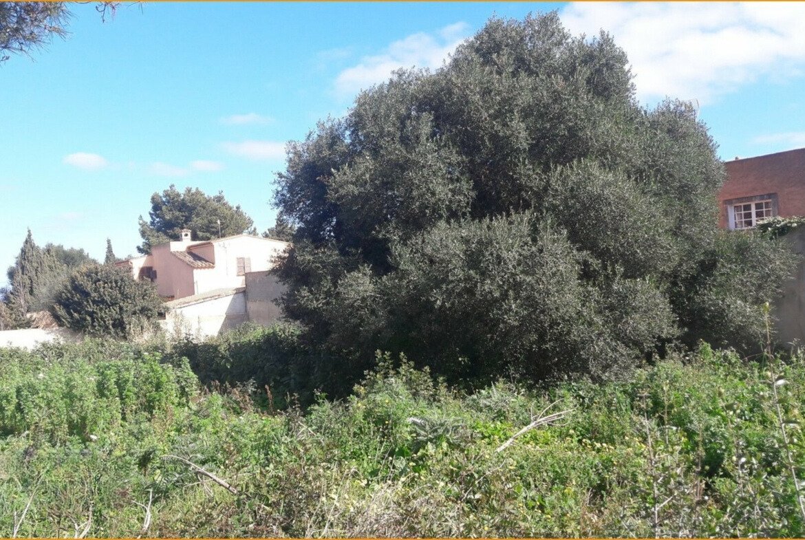 Make your life's dream come true NOW 