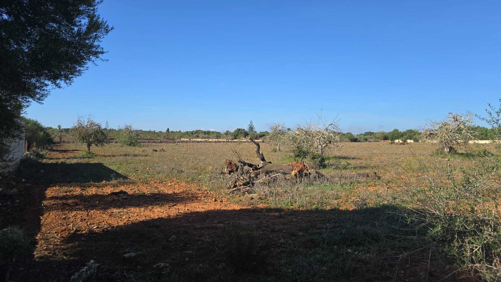 IMG-20240926-WA0046 IMG-20240926-WA0046