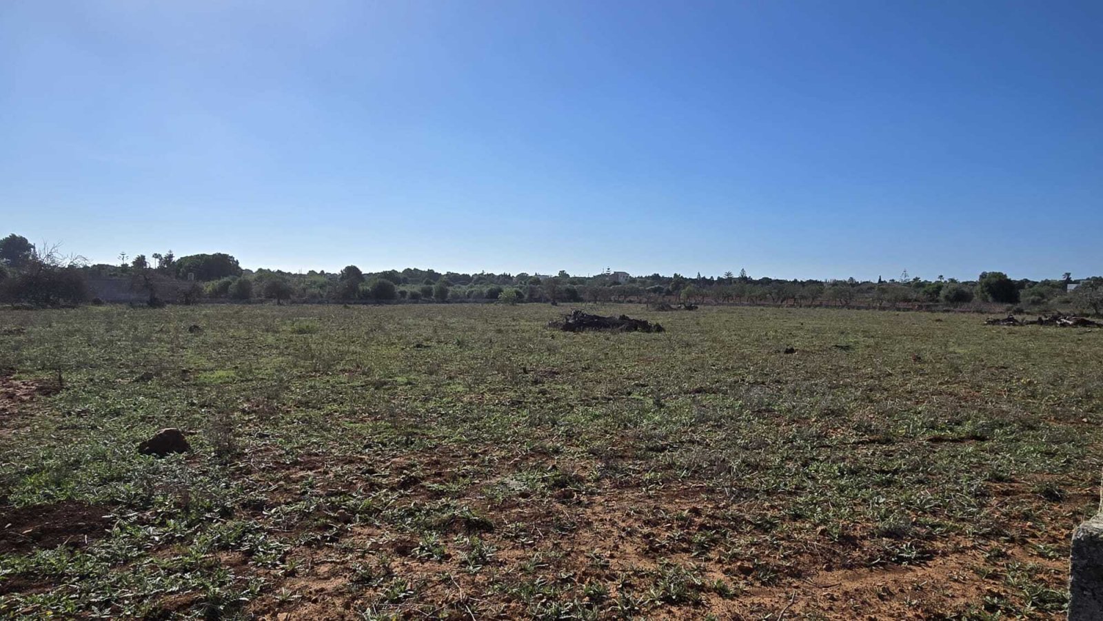 IMG-20240926-WA0043 IMG-20240926-WA0043