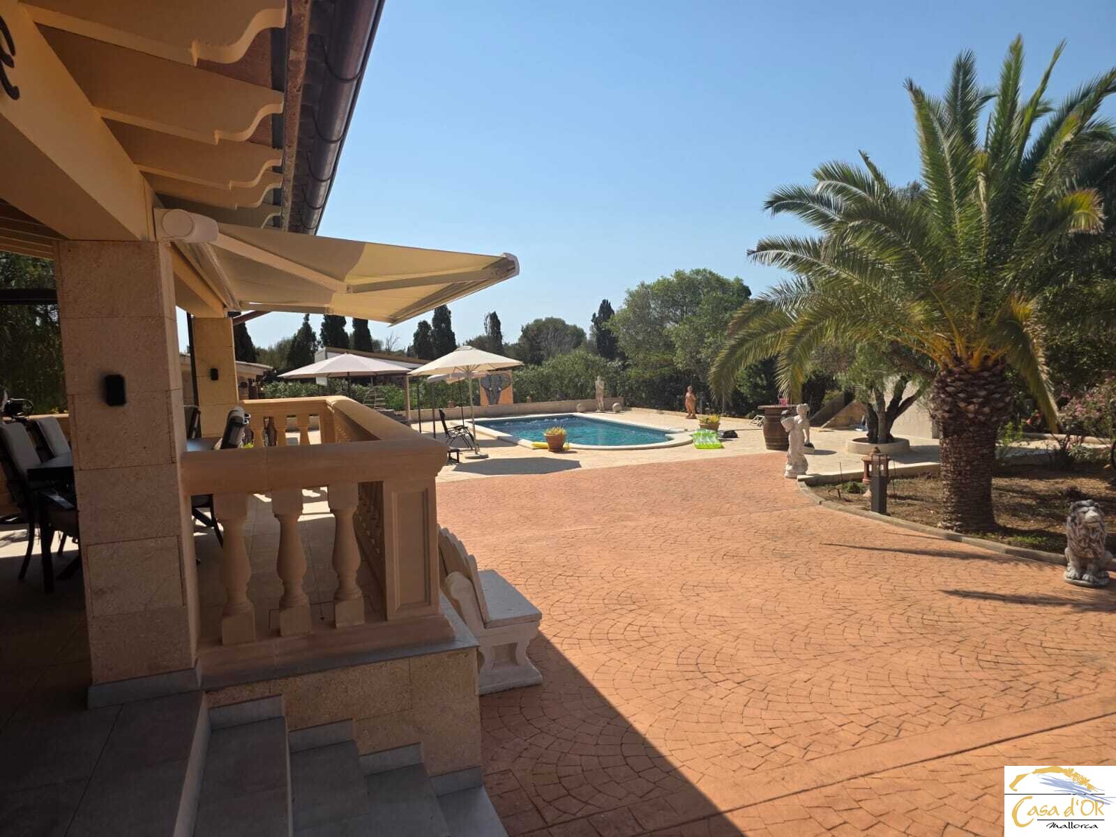 Garden & Pool Garden & Pool
