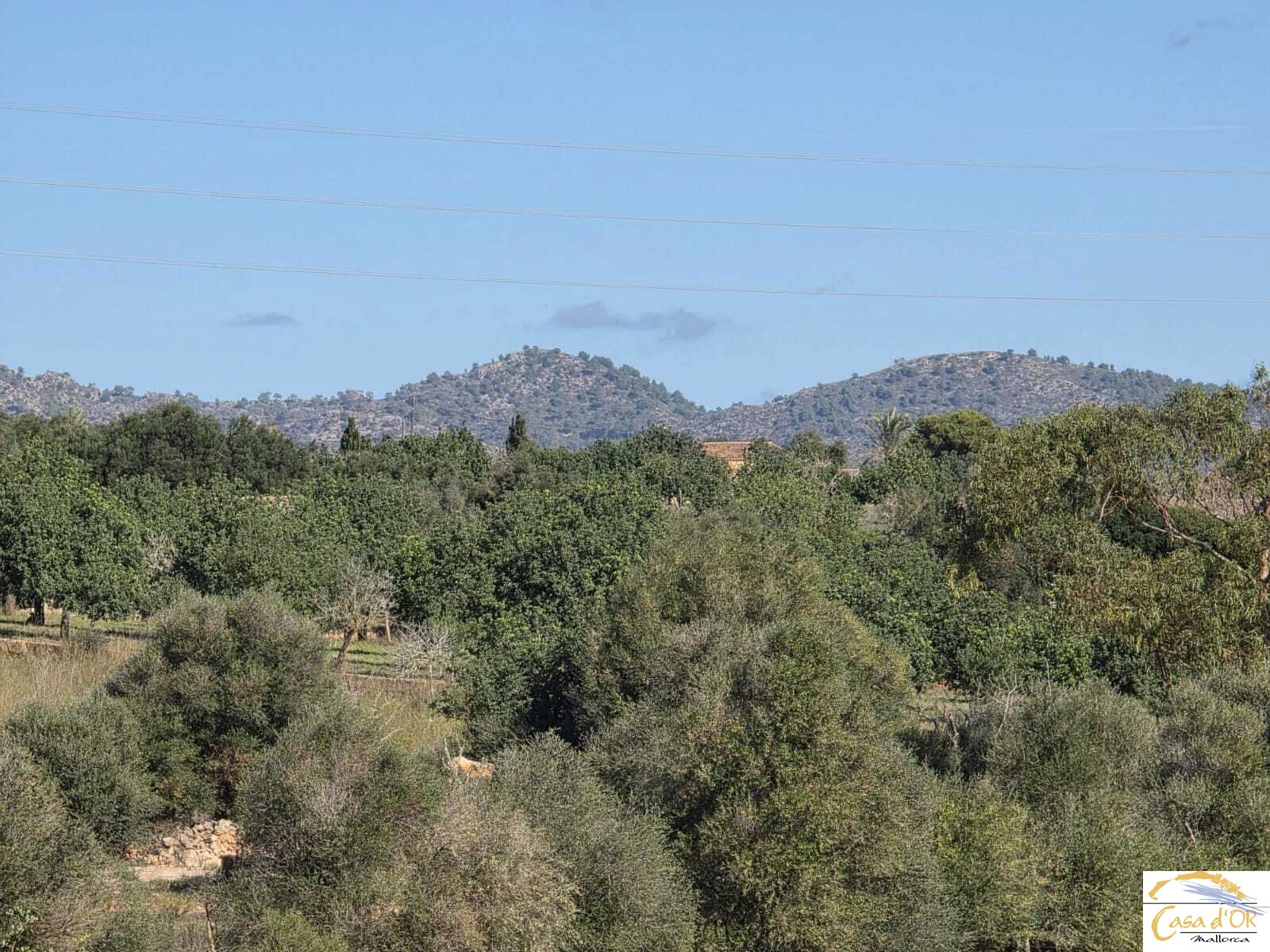 Vista de la montaña