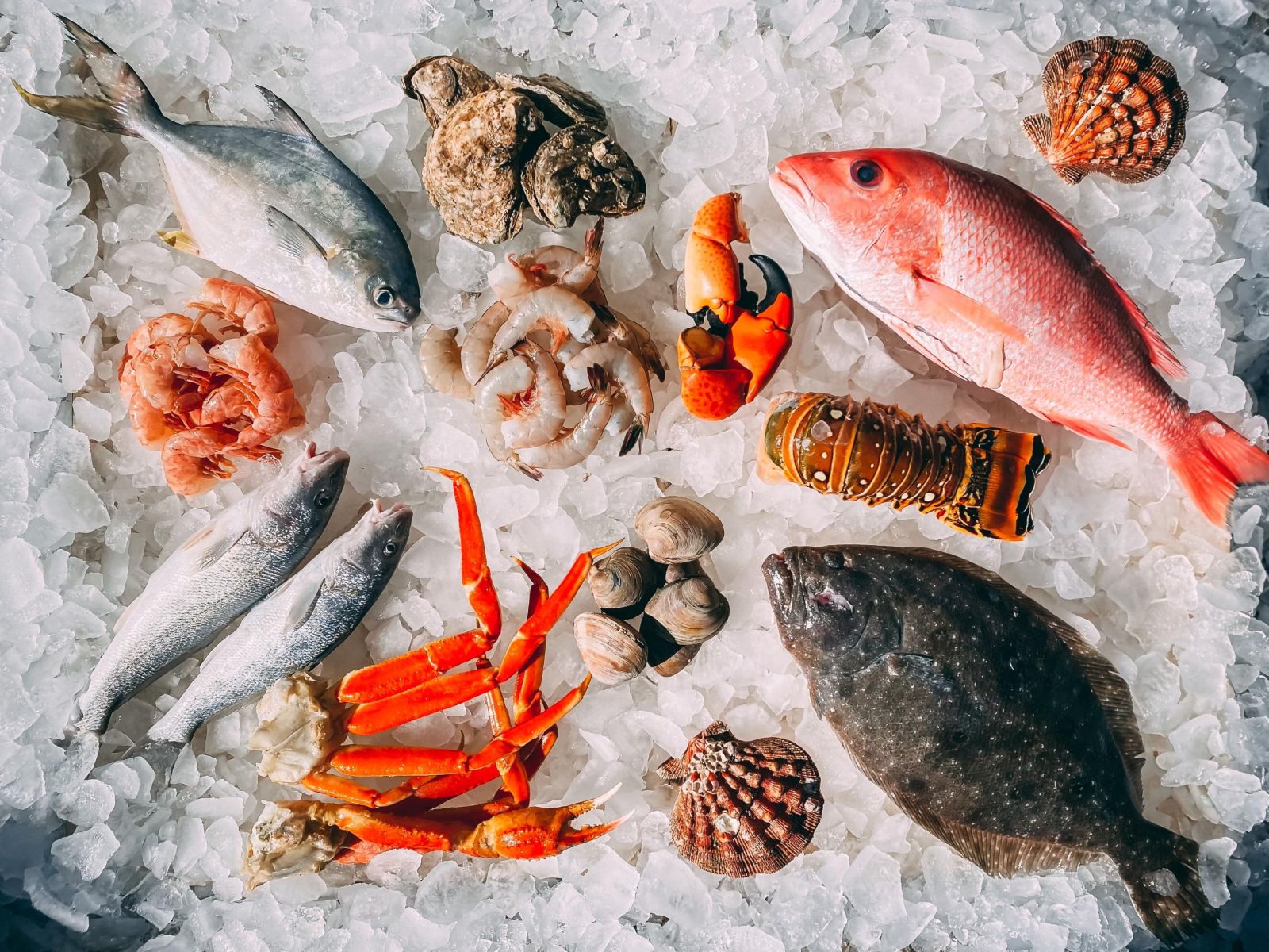 Frischer Fisch und Meeresfrüchte mallorquinische Küche