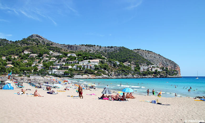 Strand Canyamel Mallorca mit Pinienwald